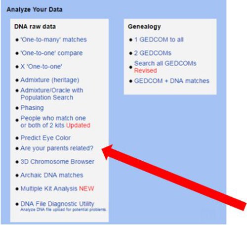 GEDMatch screenshot.