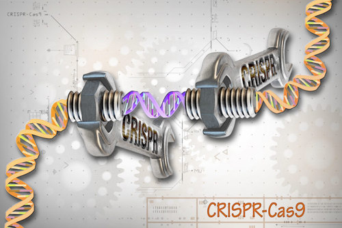CRISPR-Cas9 tool concept.