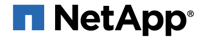 NetApp logo.