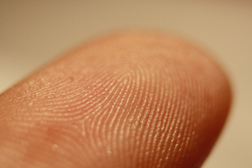 Fingerprint detail.