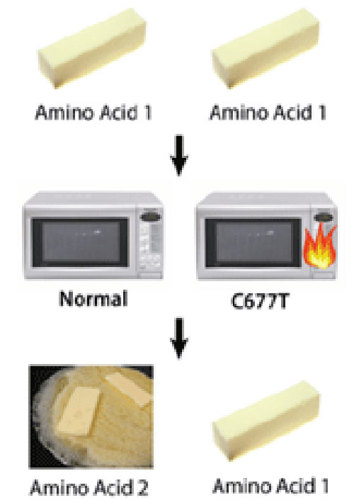 Microwaved butter.