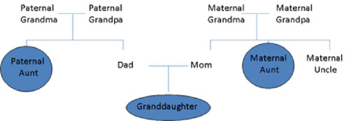 A three generation family tree.