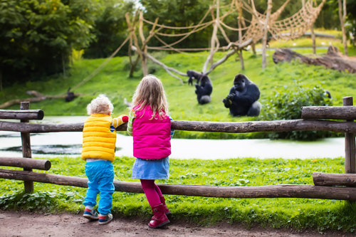 Children at the zoo.