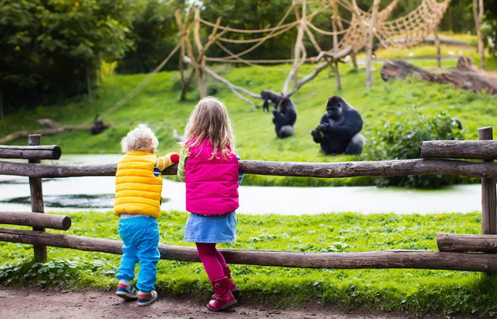 Children at the zoo.