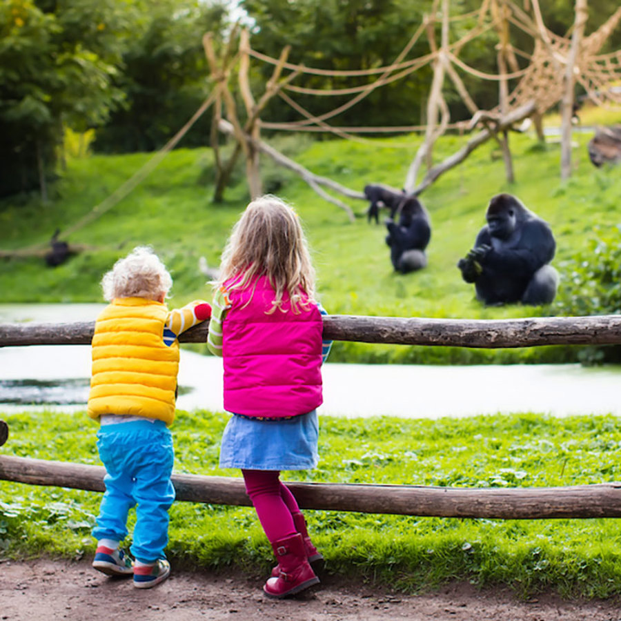 Children at the zoo.