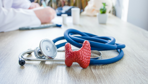 Thyroid model