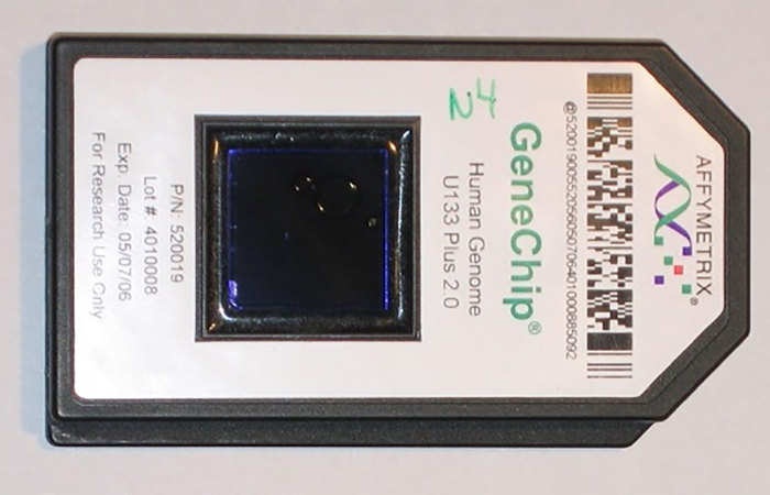 Genotyping chip.
