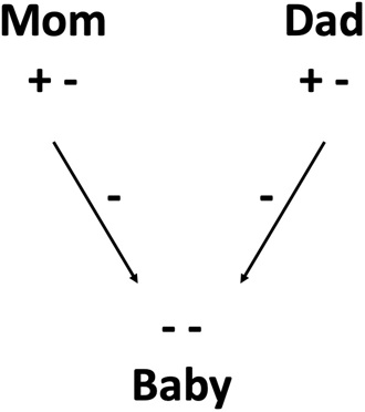 What is my blood type if both parents are O positive?