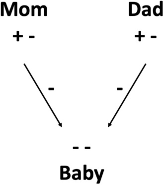 RHD family tree.