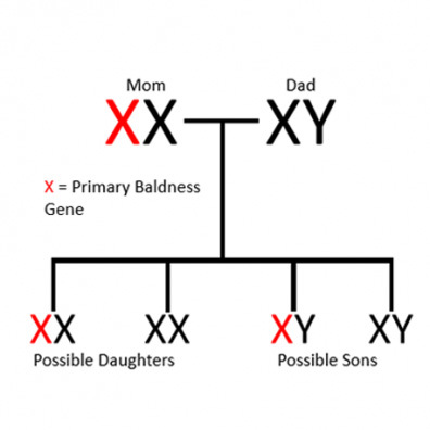Inheritance of X-linked trait.