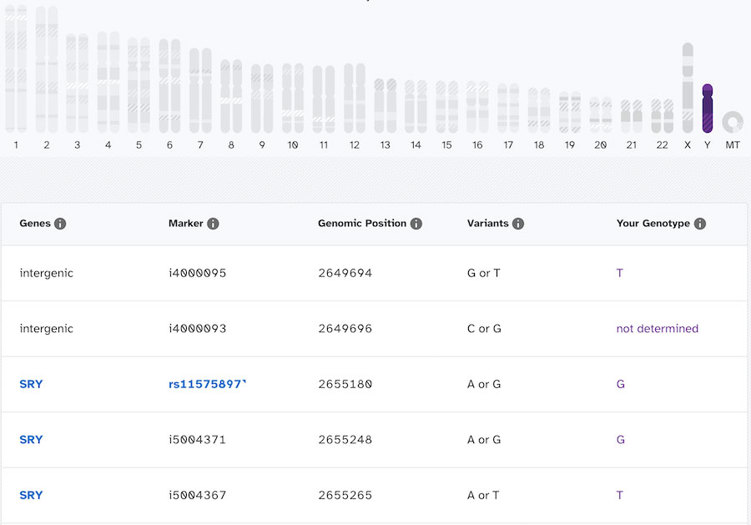 Raw data browser.