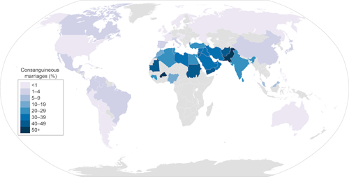 Consanguineous marriages