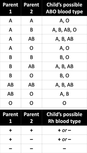 Possible blood types give combinations of A, B, AB, and O types.