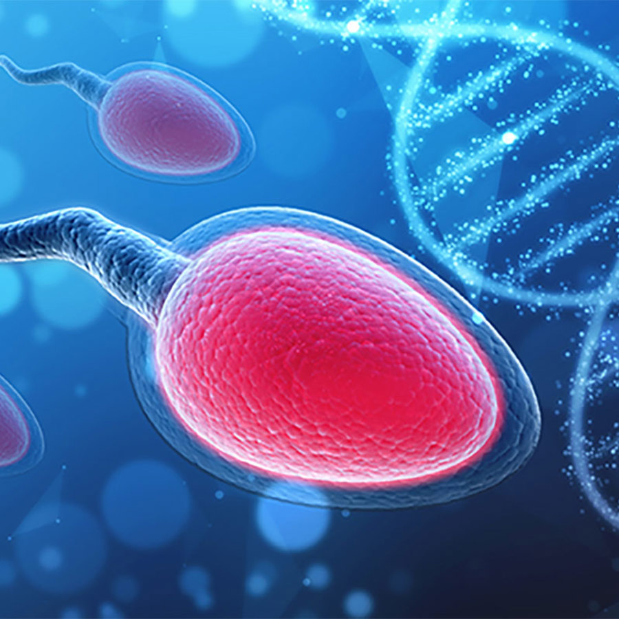 Sperm DNA illustration.