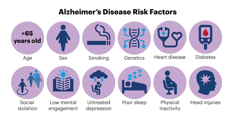 Alzheimer’s risk increases if someone: is older than 65, is female, smokes, has a family history of the disease, has heart disease, has diabetes, is socially isolated, has low mental engagement, sleeps poorly, is physically inactive, or had head injuries.