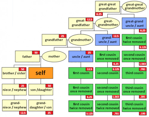 Chart of shared DNA for different relationships.