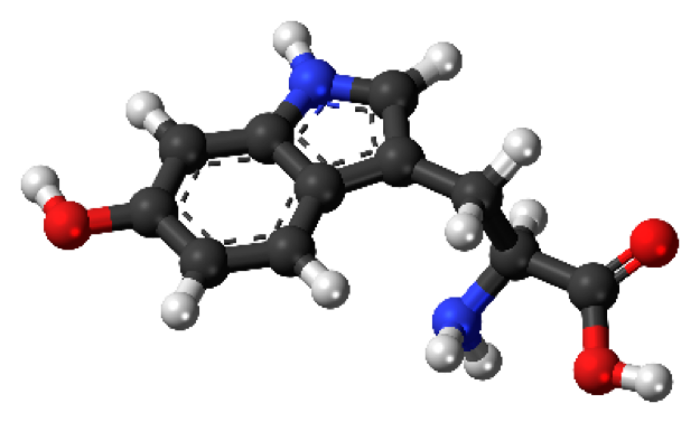 Serotonin molecular structure.