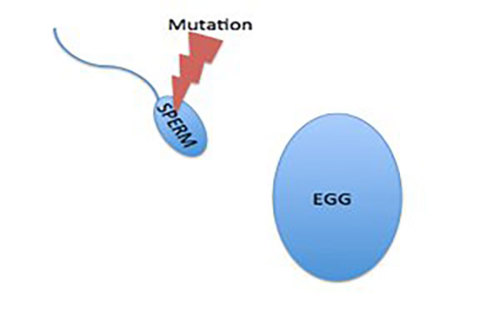 Mutation.