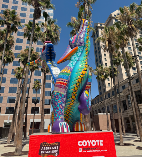 Coyote