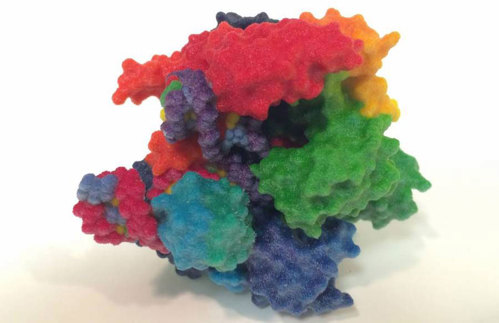 3D representation of Cas9.