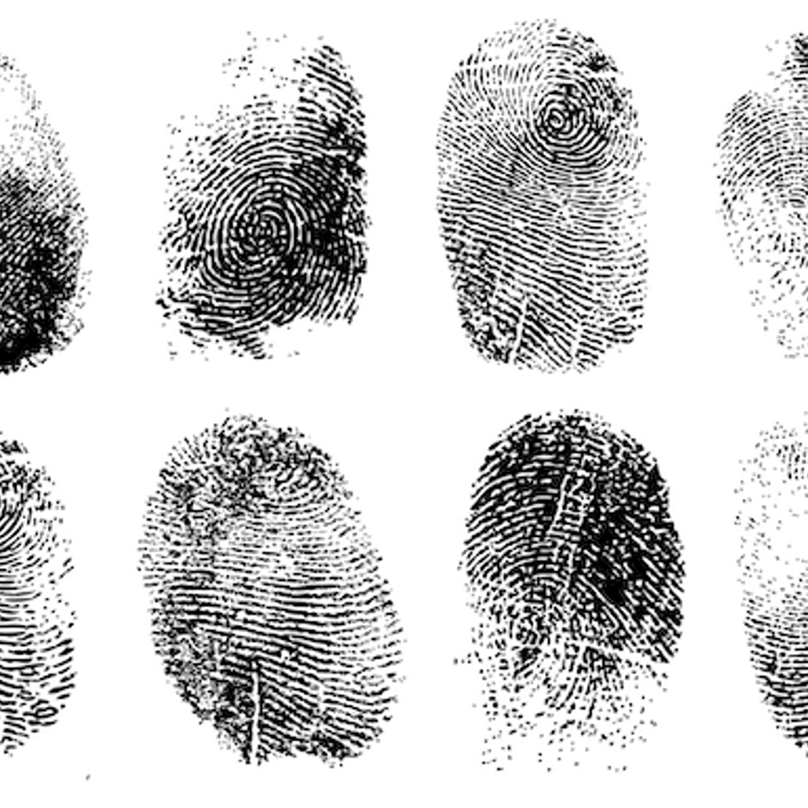 Why are the fingerprints on my left and right hand different? The