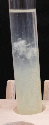Test tube with DNA.