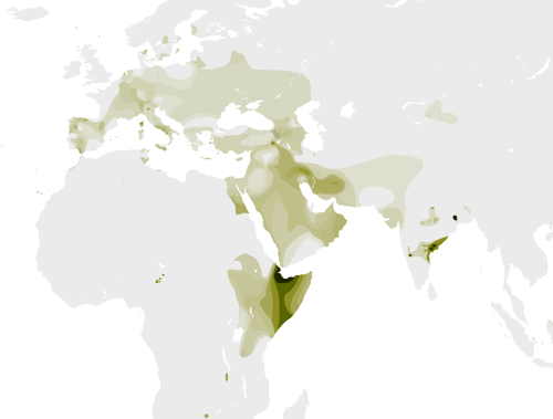 Map of the Y-DNA T haplogroup distribution
