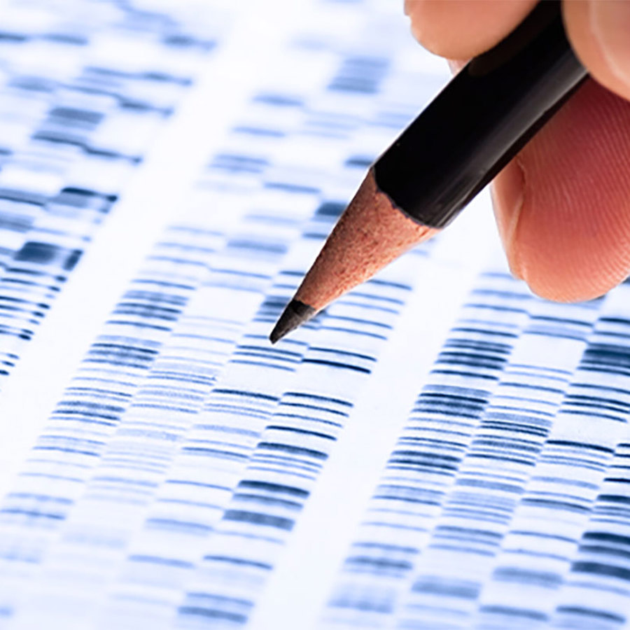 Sequence analysis.