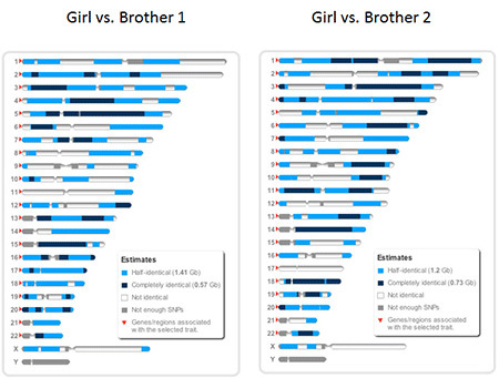 Sibling DNA comparison.