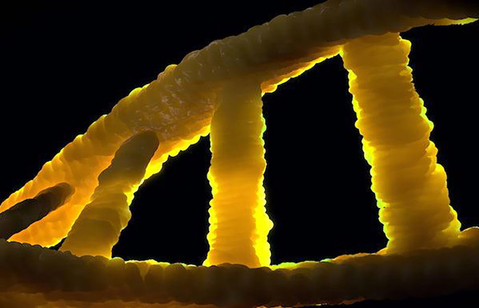 DNA.