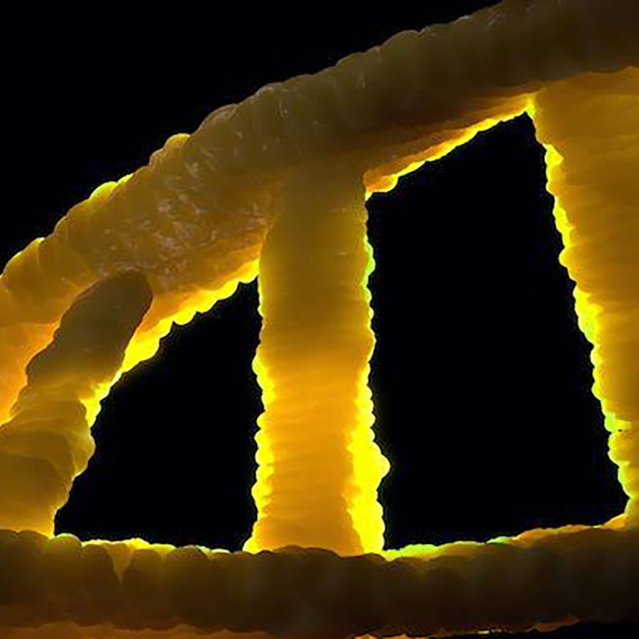 DNA.