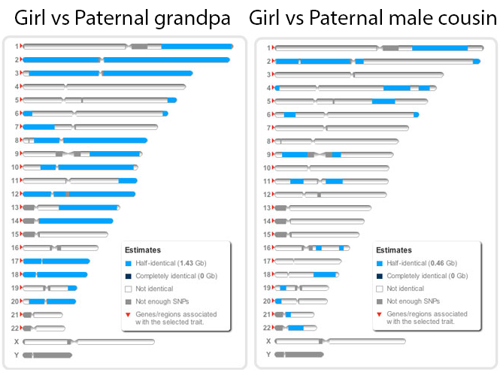 23andMe results