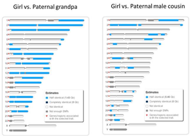 23andMe results.