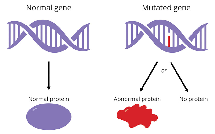 Gene mutation.