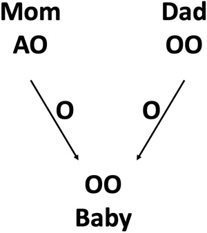 ABO family tree.
