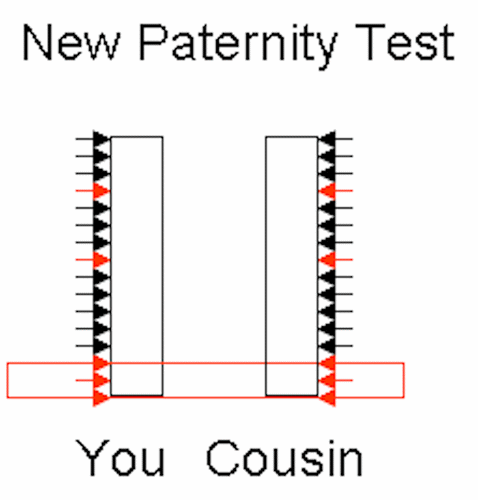 Paternity test