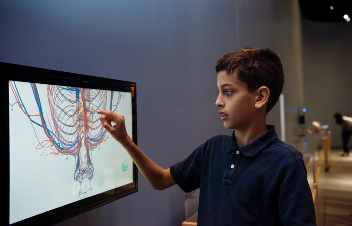 body worlds virtual tour