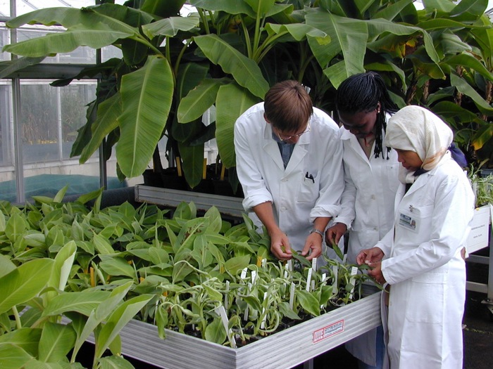 Plant scientists.