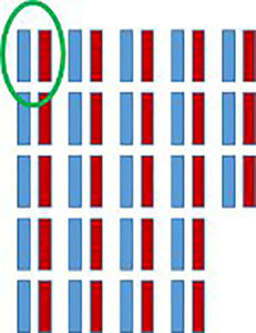 23 pairs of chromosomes, with one pair circled.