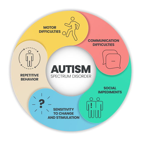 A wheel of common characteristics seen in individuals with autism spectrum disorder.