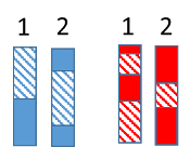 Comparing chromosomes.