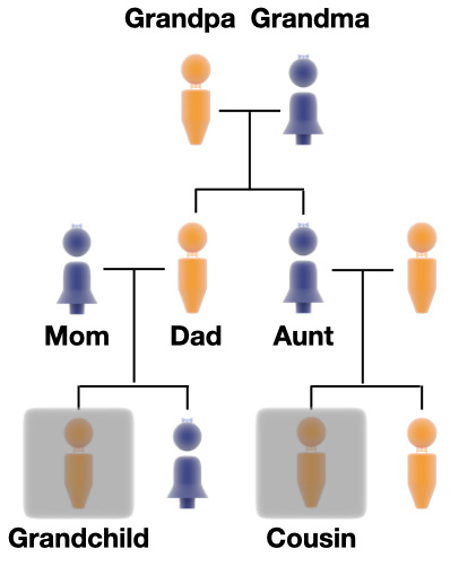 Family tree showing how two cousins are related.