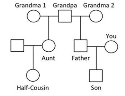 Family tree with half-cousins.