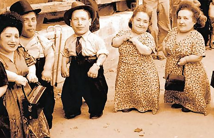 Ovitz family.