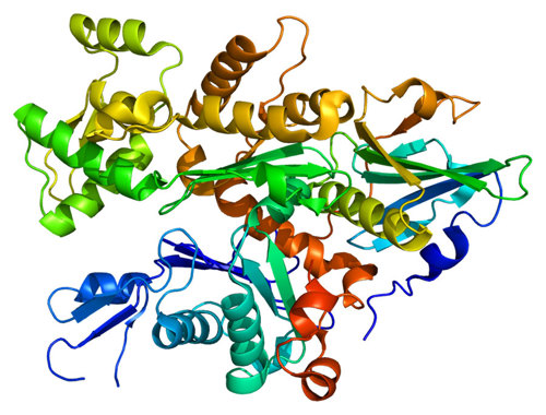 A protein structure.