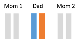 Chromosome 1 pairs for Mom 1, Dad, and Mom 2.