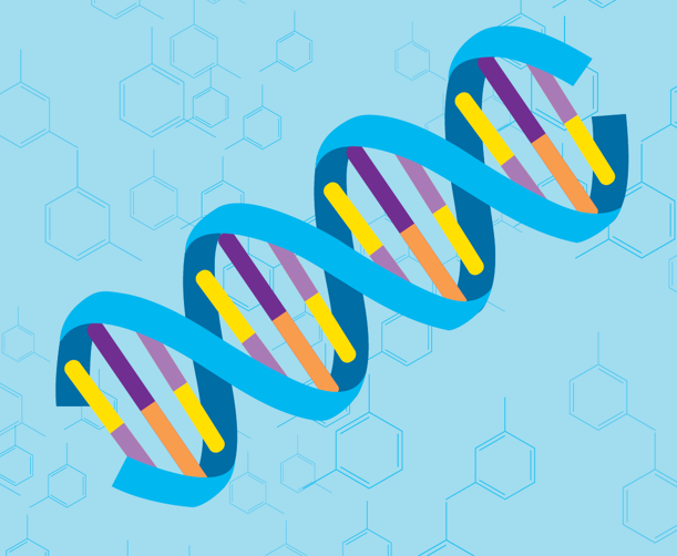 DNA and Genetics Lab