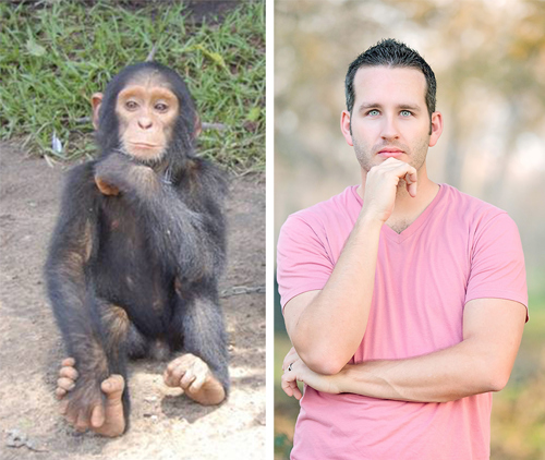 Chimpanzee and man