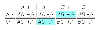 Punnett square.
