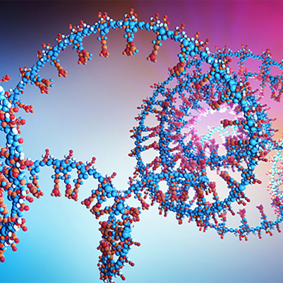 Long non-coding RNA.